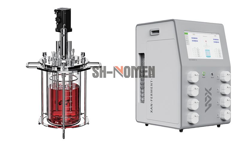 Double-Channel Mechanically Stirred Glass Bioreactor for Laboratory Use Biological Reactor Benchtop