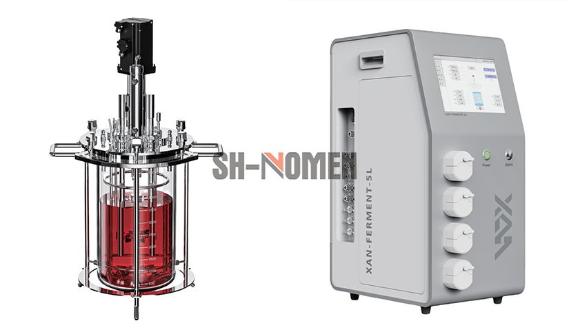 Single-Channel Mechanically Stirred Glass Bioreactor for Laboratory Use Biological Reactor Benchtop